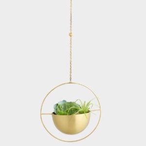 Brass ring hanging planters - Set of 2